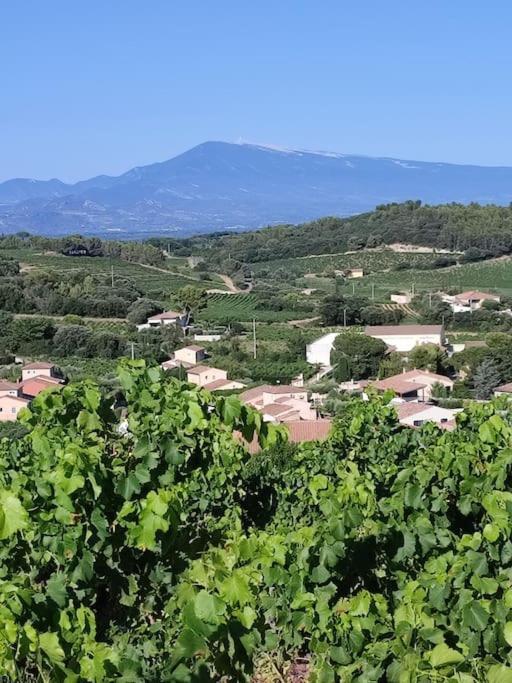 Maison De Village Châteauneuf-du-Pape Esterno foto